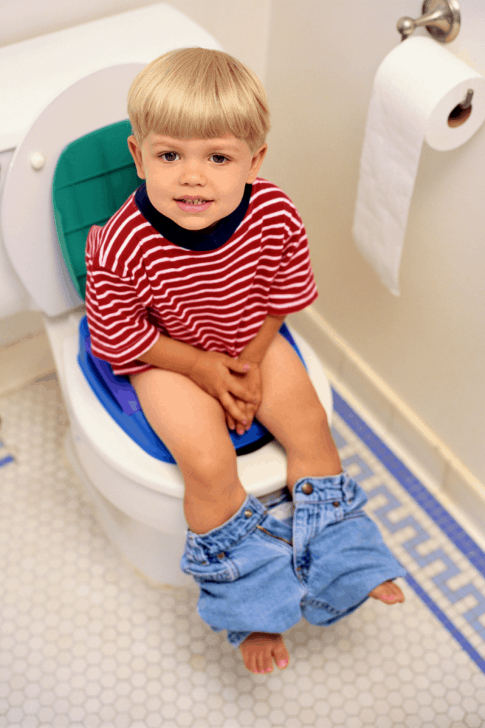 Best Travel Potty Seat For Toddlers - BeFamilyTravel