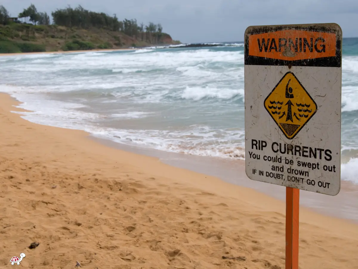 rip current safety for kids