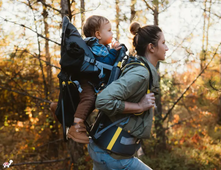 Toddler Carrier for Travel or Hiking